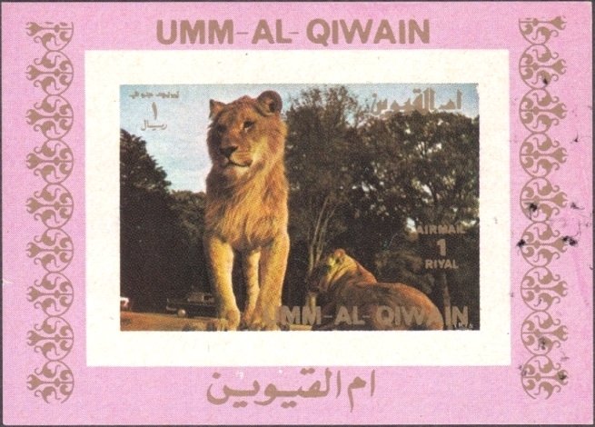 Lion (Panthera leo)