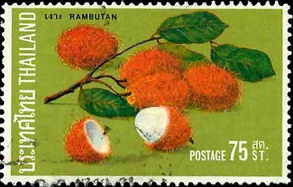 Rambutan