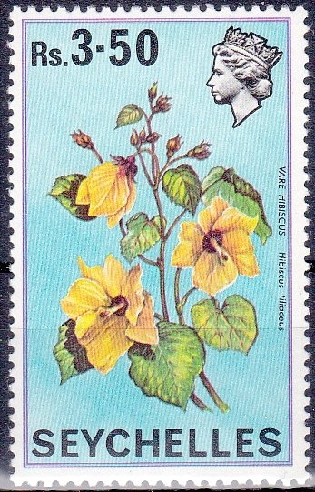 Vare Hibiscus (Hibiscus tiliaceus)