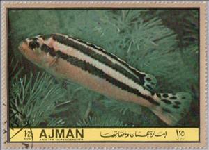 Stamp, Pseudotropheus auratus, Ajman,  , Fishes