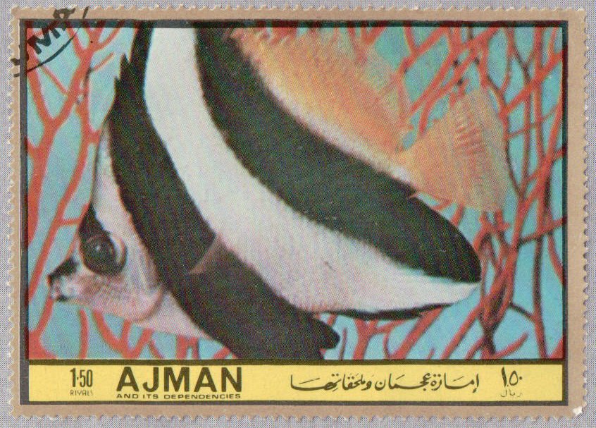 Heniochus acuminatus