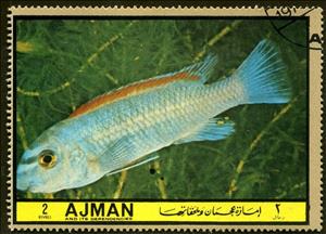 Stamp, Labeotropheus trewavasis, Ajman,  , Fishes