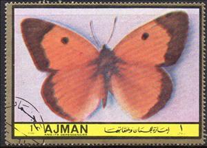 Stamp, Colias edusa, Ajman,  , Butterflies