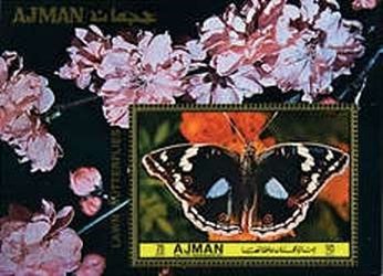 Souvenir Sheet, Precis clelia, Ajman,  , Insects, Butterflies