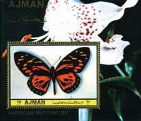 Papilio zagreus
