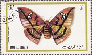 Stamp, Cricula Silkmoth (Cricula trifenestrata), Umm al-Qiwain,  , Insects, Butterflies, Animals (Fauna)