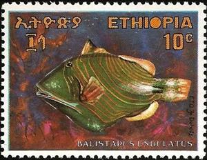 Stamp, Orange-lined Triggerfish  (Balistapus undulatus), Ethiopia,  , Fishes