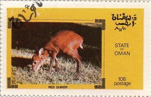 Stamp, Red Duiker, Cinderellas,  , Animals (Fauna)
