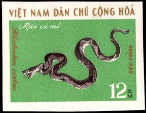 Stamp, Sharp-nosed Pit Viper (Agkistrodon acutus), Vietnam,  , Snakes