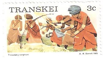 Stamp, Threshing sorghum, South Africa, Homelands,  
