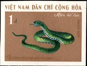 Stamp, Common Green Pit Viper (Trimeresurus grumineus), Vietnam,  , Snakes