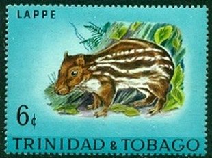 Stamp, Spotted Paka (Cuniculus paca) , Trinidad and Tobago,  