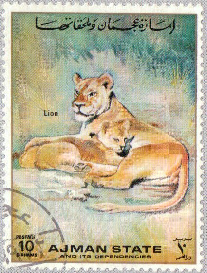Lion