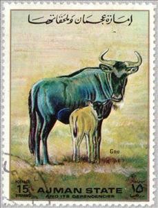 Stamp, Wildebeest, Ajman,  , Mammals, Antelopes, Animals (Fauna)