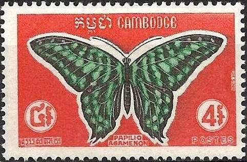 Tailed Jay (Graphium agamemnon)