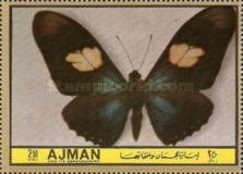 Papilio pausanias