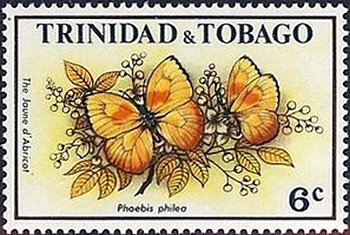 Orange-barred Sulphur (Phoebis philea)