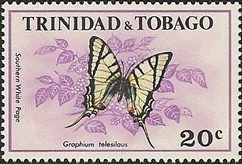 Short-lined Kite Swallowtail (Graphium telesilaus)
