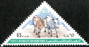 Stamp, Socotra Dwarf Cattle (Bos primigenius taurus), Yemen,  