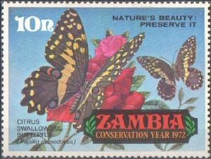 Stamp, Citrus Swallowtail (Papilio demodocus), Zambia,  , Butterflies