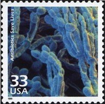 Century - 1940's: Antibiotics save lives