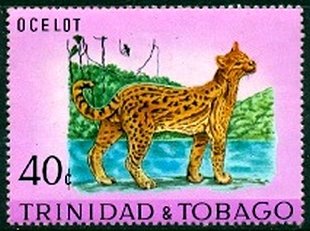Stamp, Ocelot (Leopardus pardalis), Trinidad and Tobago,  