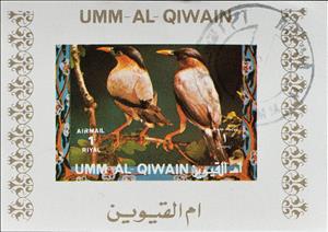 Souvenir Sheet, Brahminy Starling (Sturnia pagodarum), Umm al-Qiwain,  , Birds, Animals (Fauna)