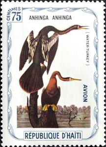 Stamp, Anhinga (Anhinga anhinga), Cinderellas,  , Birds