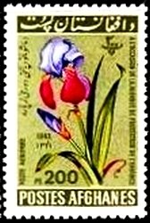 Stamp, Iris, Afghanistan,  , Flowers