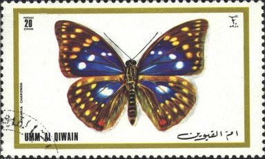 Stamp, Japanese Emperor (Sasakia charonda), Umm al-Qiwain,  , Insects, Butterflies, Animals (Fauna)