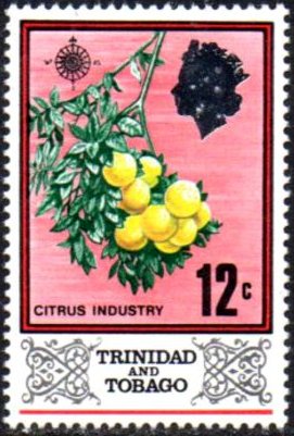 Citrus fruit