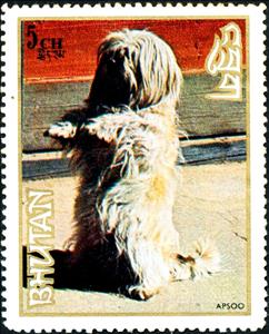 Stamp, Lhasa Apsoo, Bhutan,  , Dogs