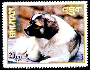Stamp, Damci, Bhutan,  , Dogs