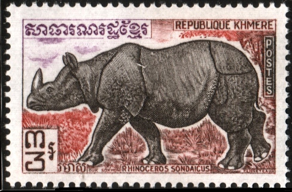 Sunda Rhinoceros (Rhinoceros sondaicus)