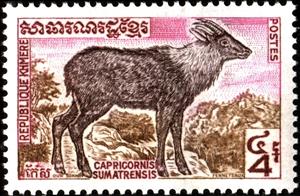 Stamp, Sumatran Serau (Capricornis sumatrensis), Cambodia,  , Animals (Fauna)