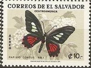 Spear-winged Cattleheart (Papilio consus)