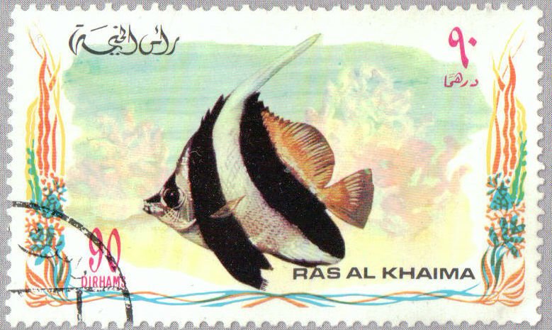 Pennant Coralfish (Heniochus acuminatus)