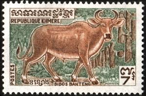 Stamp, Banteng (Bos javanicus), Cambodia,  , Animals (Fauna)
