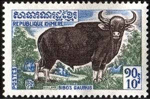Stamp, Gaur (Bos gaurus), Cambodia,  , Animals (Fauna)