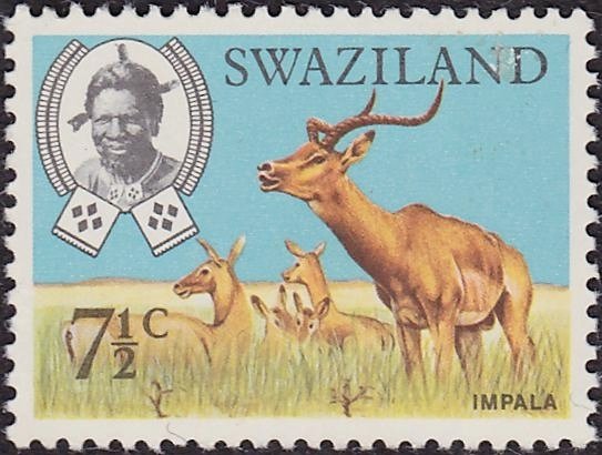 Impala (Aepyceros melampus)