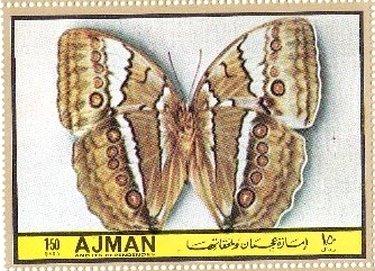 Stamp, Stichophthalma camadeva, Ajman,  , Butterflies