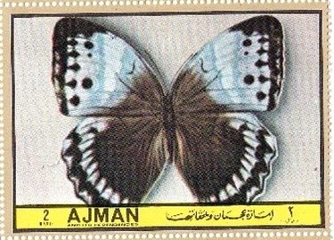 Stamp, Stichophthalma camadeva, Ajman,  , Insects, Butterflies, Animals (Fauna)