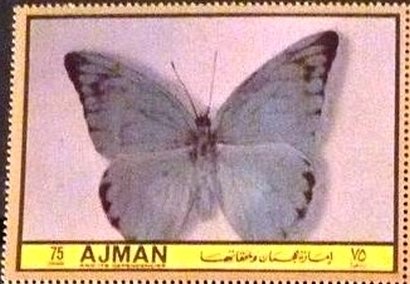 Stamp, Saletara obina, Ajman,  , Butterflies