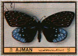Stamp, Erasmia sanguifiua, Ajman,  , Insects, Butterflies, Animals (Fauna)
