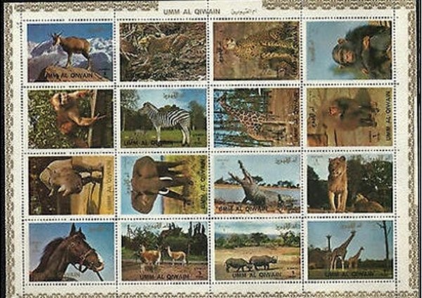 Animals; large format