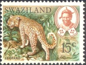 Stamp, Leopard (Panthera pardus), Swaziland,  , Leopards