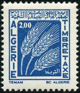 Stamp, Ears, Algeria,  , Agriculture, Cereals