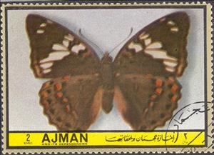 Stamp, Morpho elena, Ajman,  , Insects, Butterflies, Animals (Fauna)