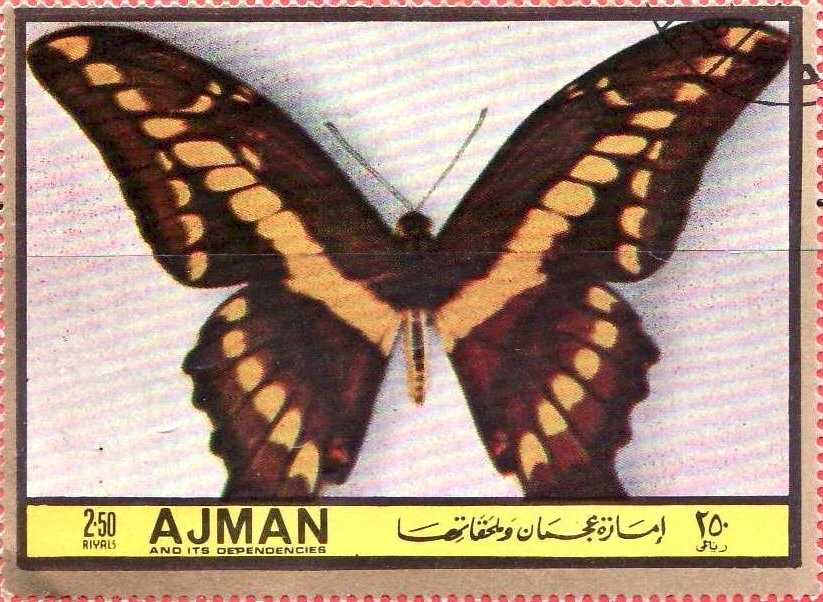 Papilio brasiliensis