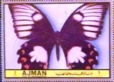 Stamp, Papilio aegeus, Ajman,  , Insects, Butterflies, Animals (Fauna)